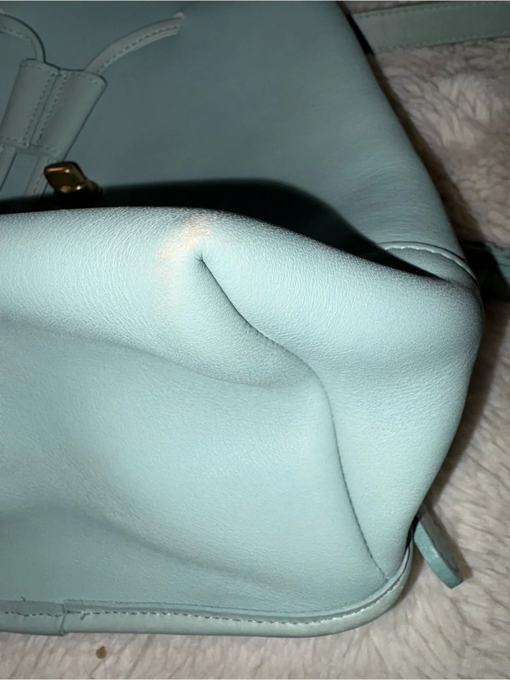 VTG (rare light green) PRISTINE COACH SMALL LEATHER DAYPACK